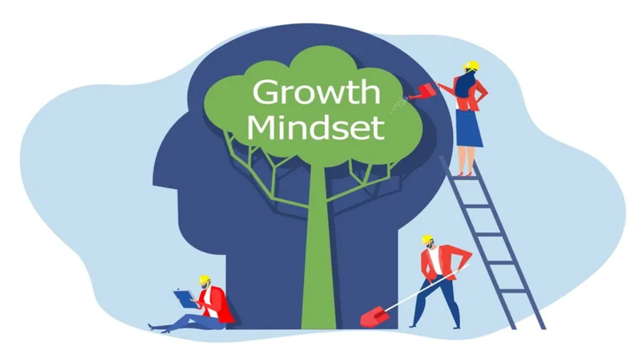 Growth Mindset Consultants
